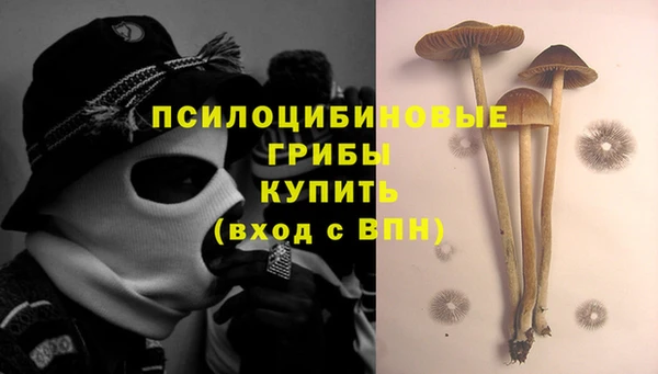 соль ск Липки